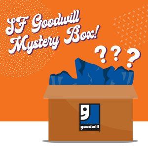 Basic Mystery Box - Womens Tops by Size!